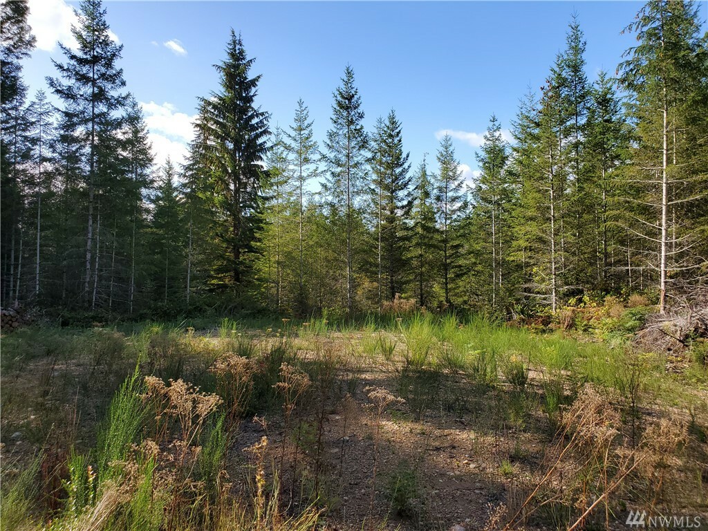 Property Photo: 440 E Thomas Rd WA 98546