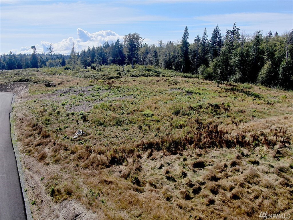Property Photo: Lot 1 Twin Oaks Lane WA 98249