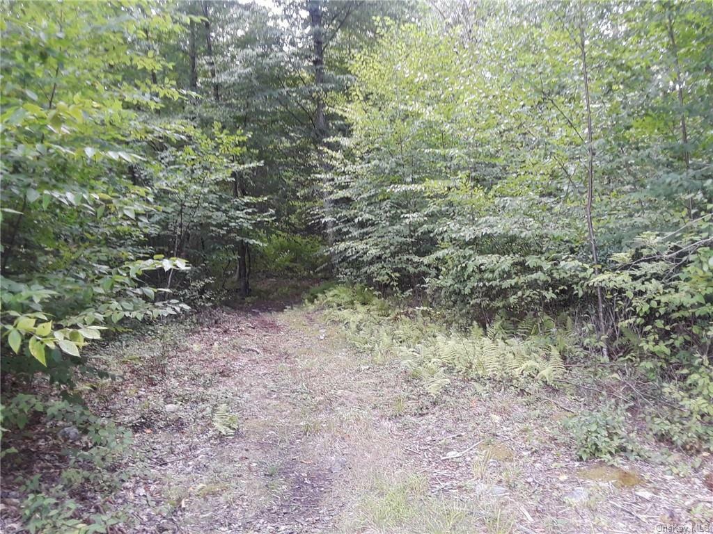 Property Photo:  Lot35 Smith Lane  NY 12765 