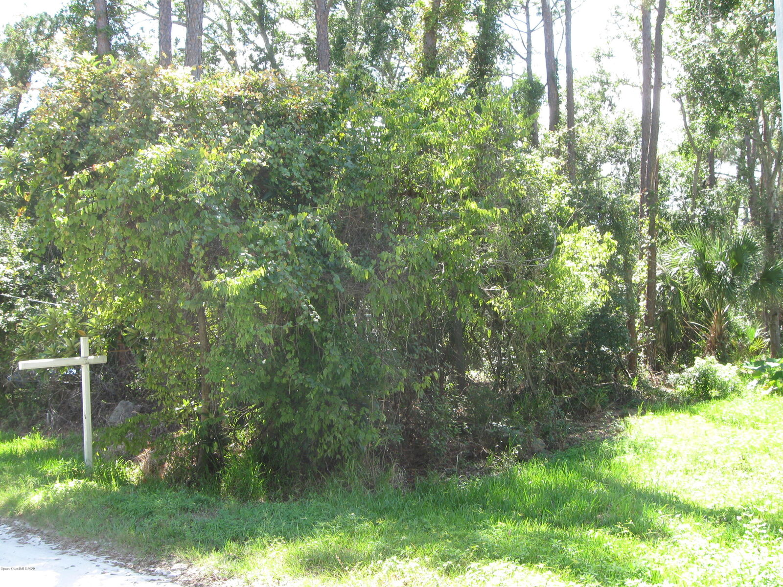 Property Photo:  2465 Kaiser Road  FL 32754 