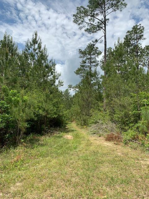 Property Photo:  0 Silver Run (95+/- Ac) Rd.  MS 39573 