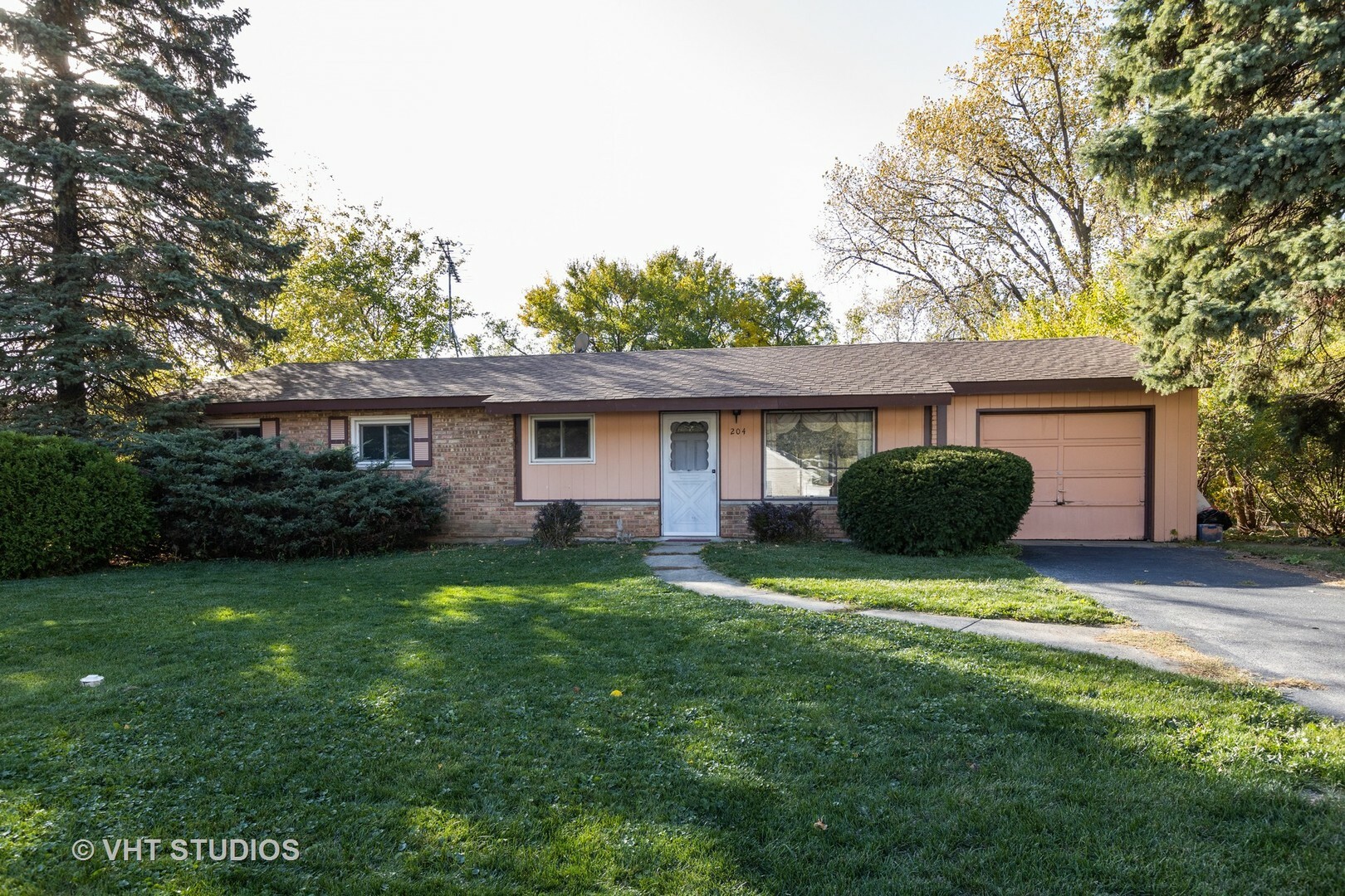 Property Photo:  204 Glengary Drive  IL 60440 