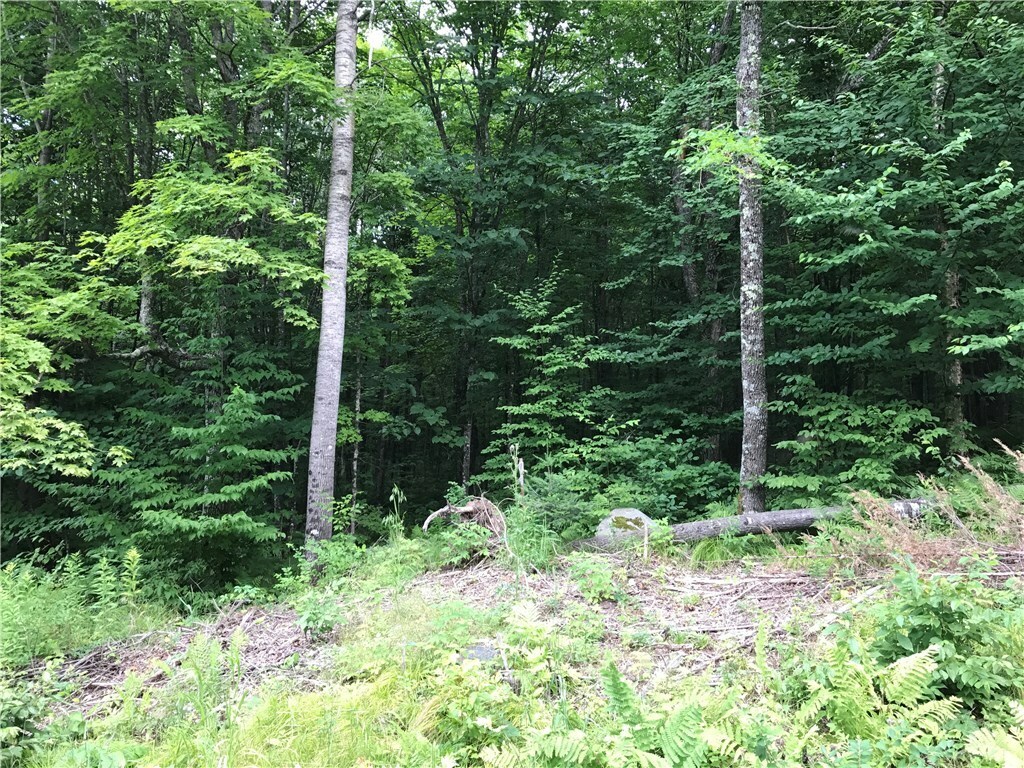 Property Photo: Lot 0 Price Dam Road WI 54896
