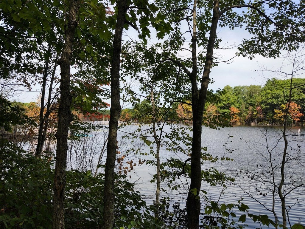 Property Photo: Lots L &Amp 2 Spider Lake Drive WI 54817