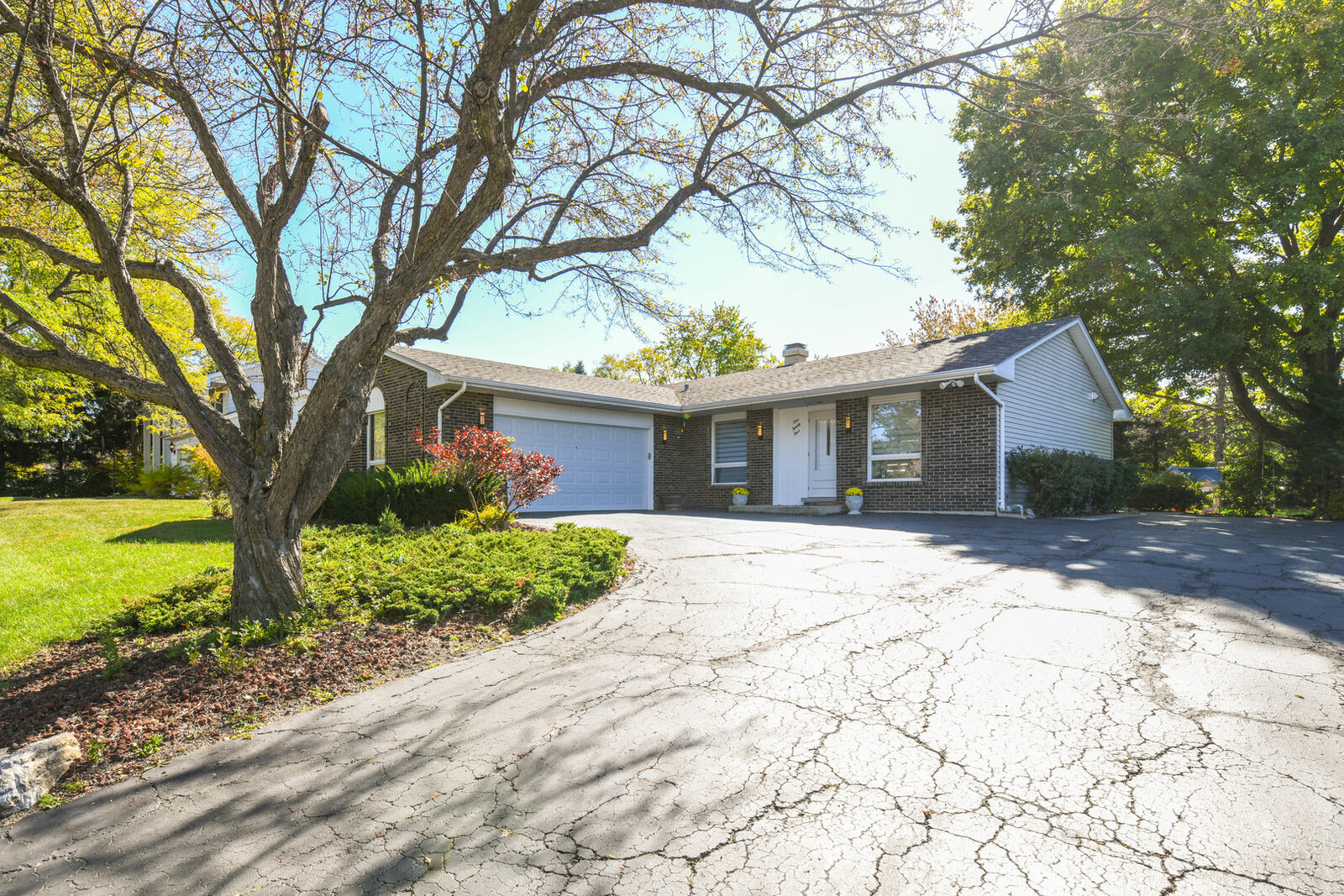 Property Photo:  124 Tanager Drive  IL 60108 