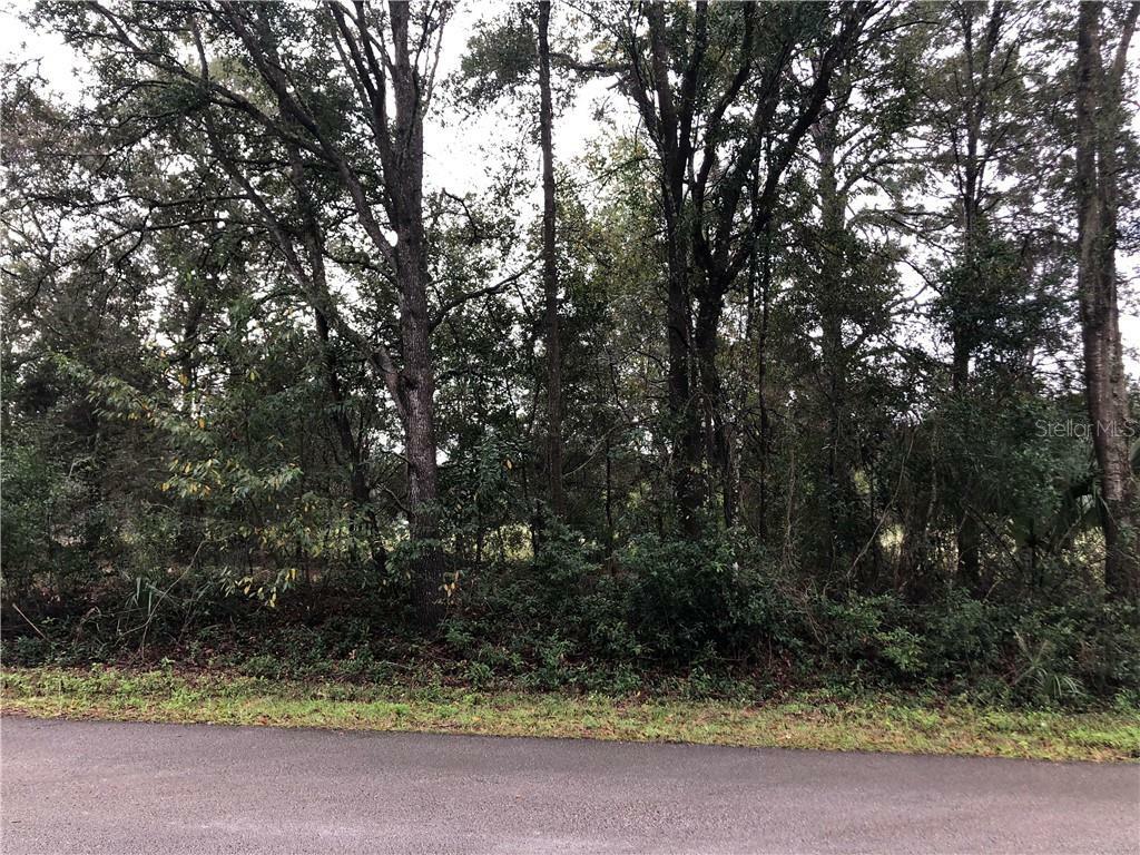 Property Photo:  00 SW Eagle Dr  FL 34431 