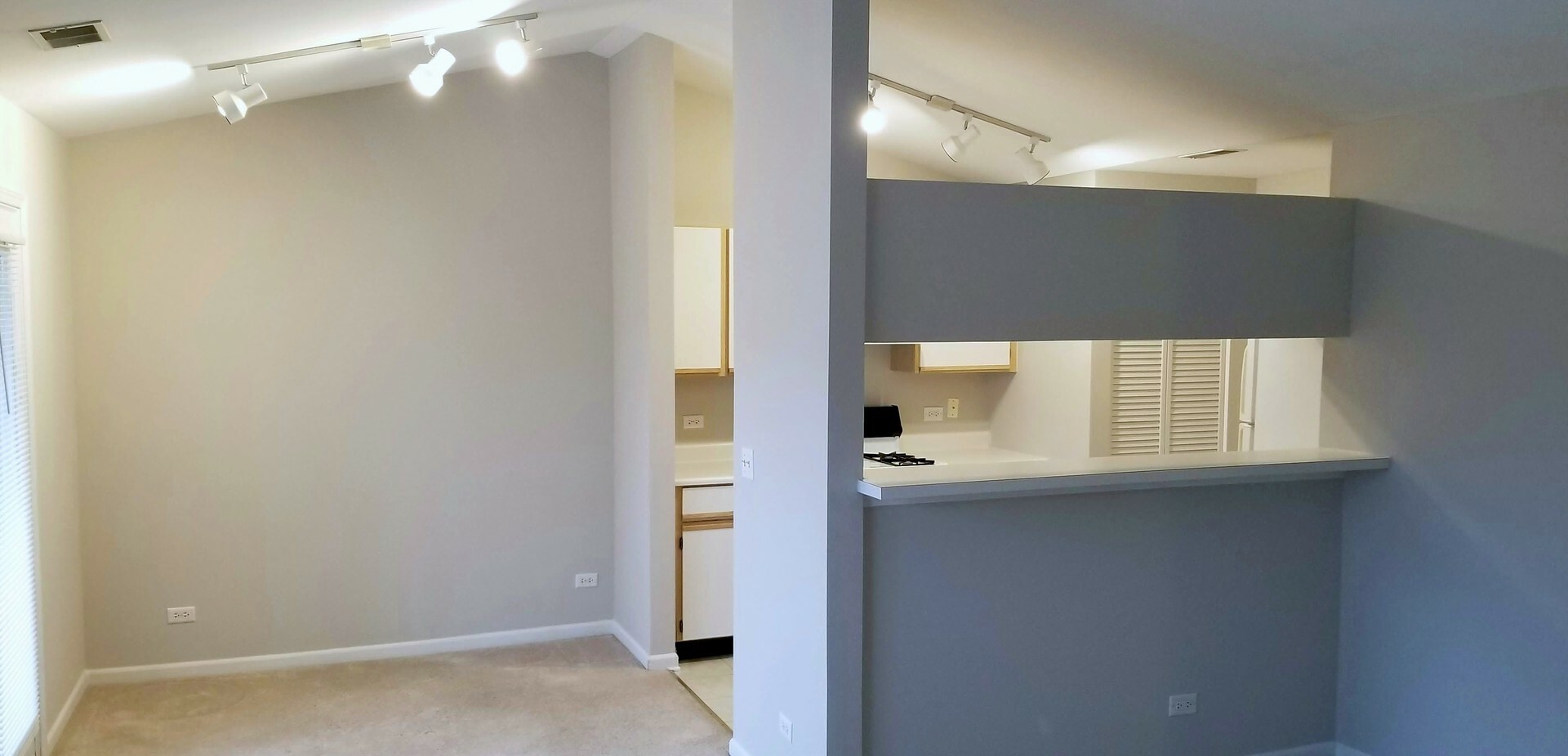 Property Photo: 1665 Carlemont Drive D IL 60014