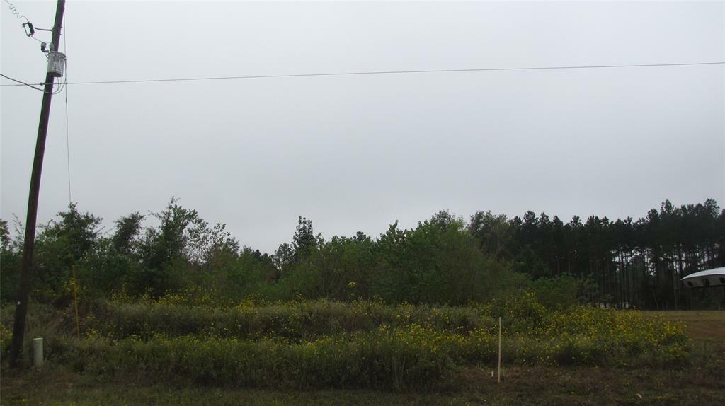 Property Photo:  58 County Road 5013 Road  TX 77327 