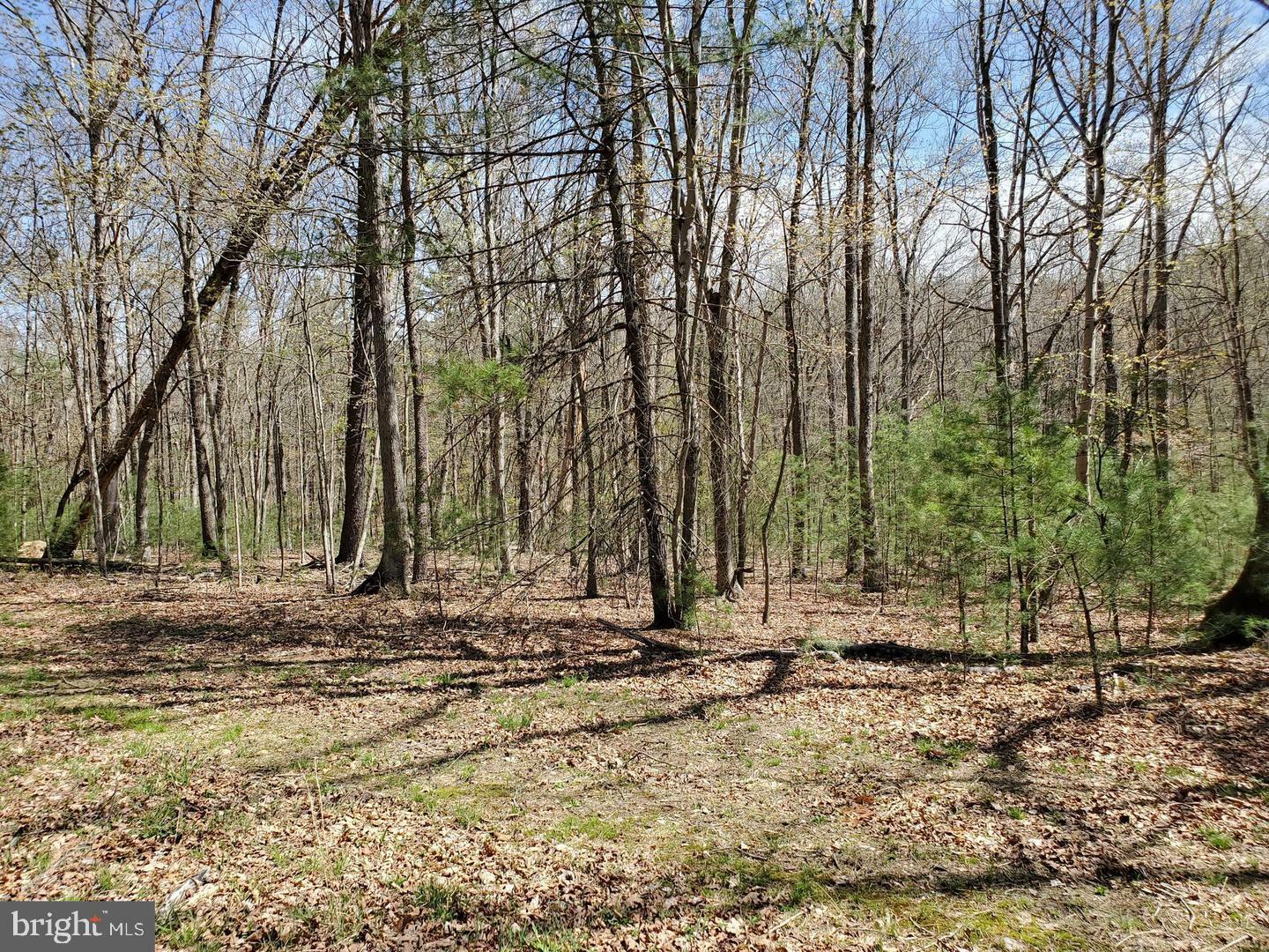 Property Photo:  Lot 10 Redtail  VA 22810 