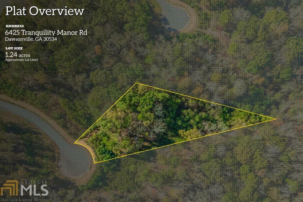 Property Photo: 6425 Tranquility Manor Road GA 30534