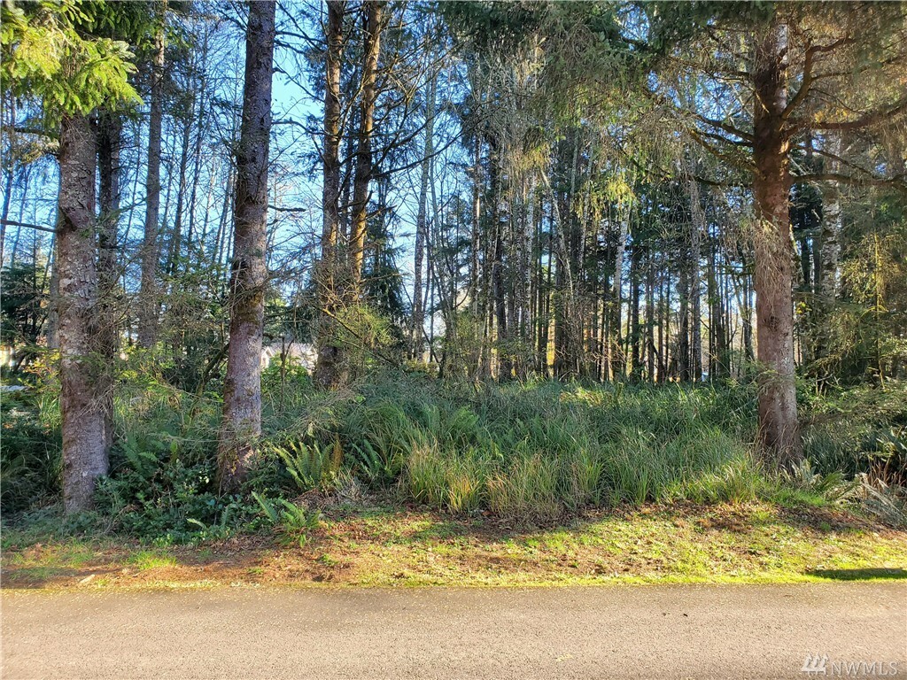 Property Photo:  293 Pearsall St SE  WA 98569 