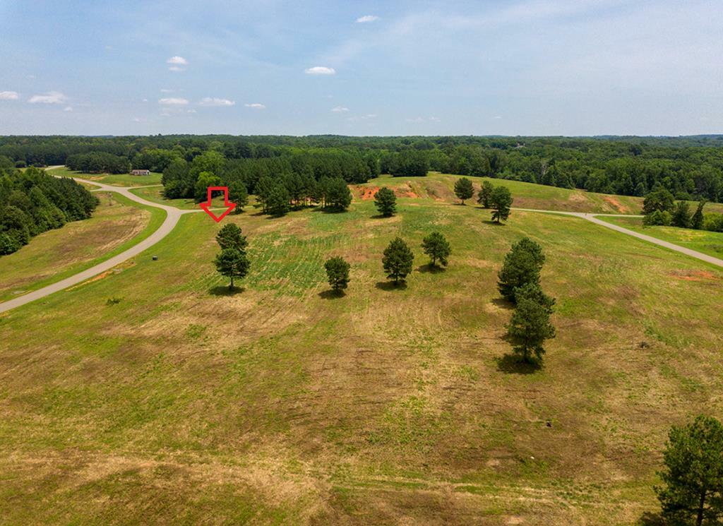 Property Photo:  Lot 41 Woodlawn Drive  VA 23927 