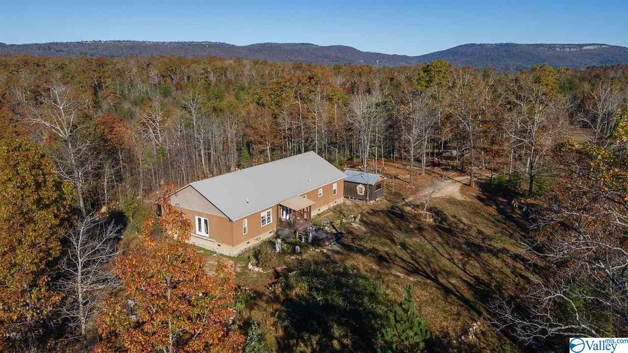 Property Photo:  4797 County Road 239  AL 35989 