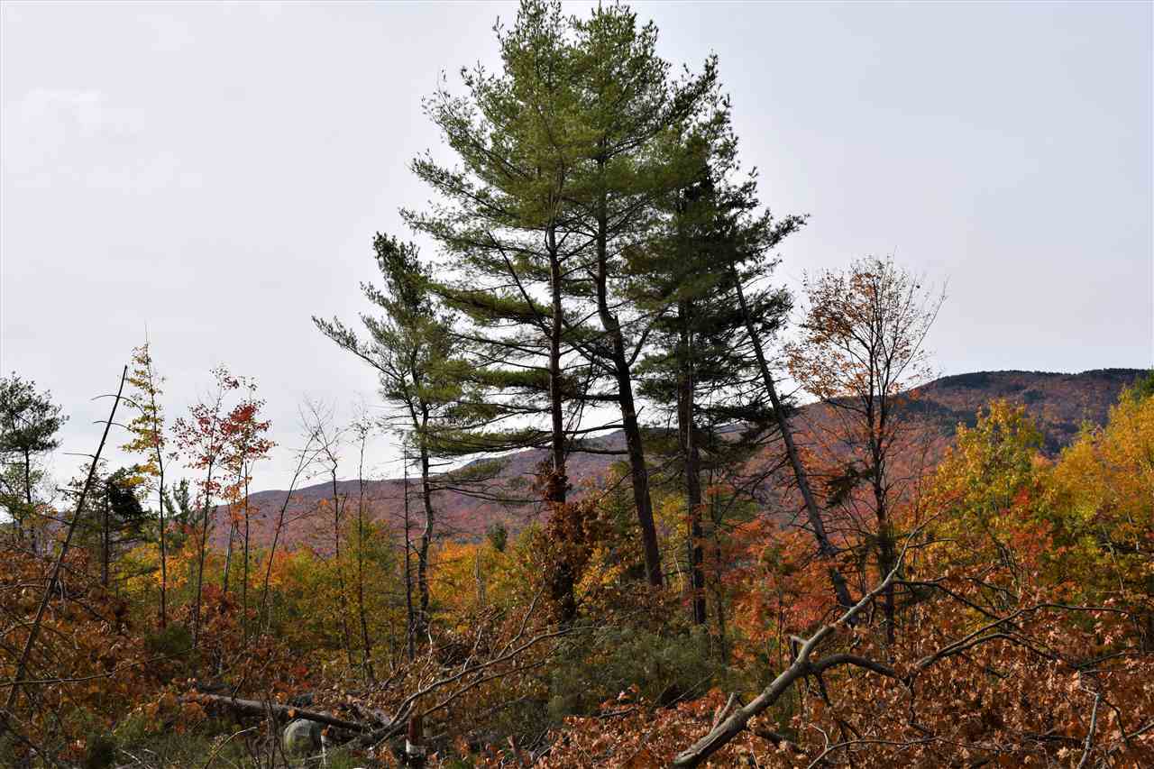 Property Photo:  31-373 Red House Road Lot 298-373  NH 03255 