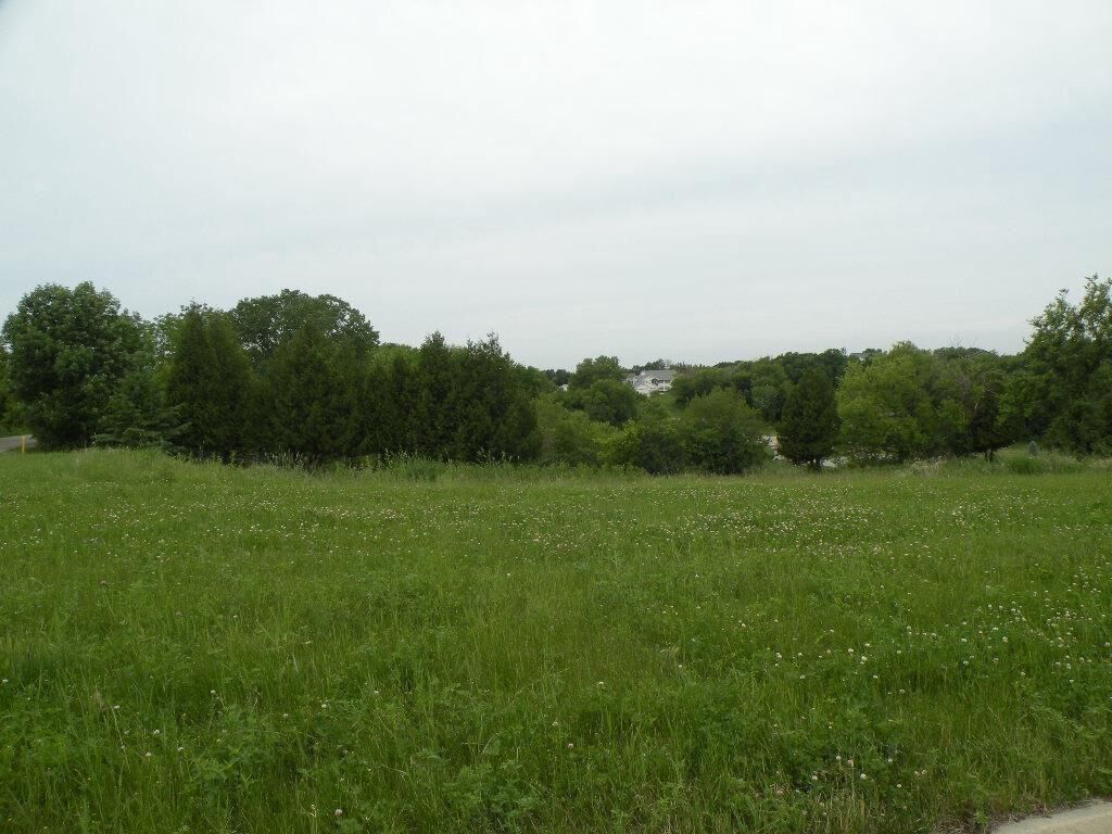Property Photo:  219 Glacial Terrace  WI 54971 