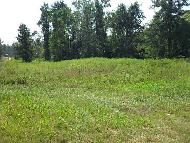Property Photo: 0 Hwy 71 AL 35765