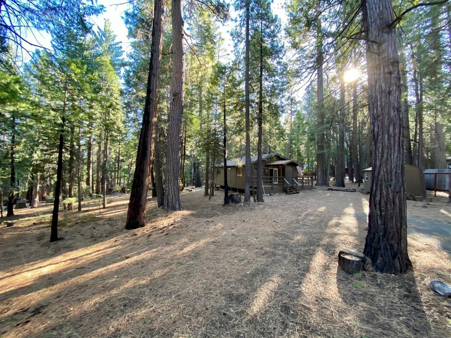 4561 Blackfoot Circle  Camp Connell CA 95223 photo
