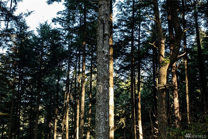 Property Photo: 9 Sprucewood Lane WA 98535