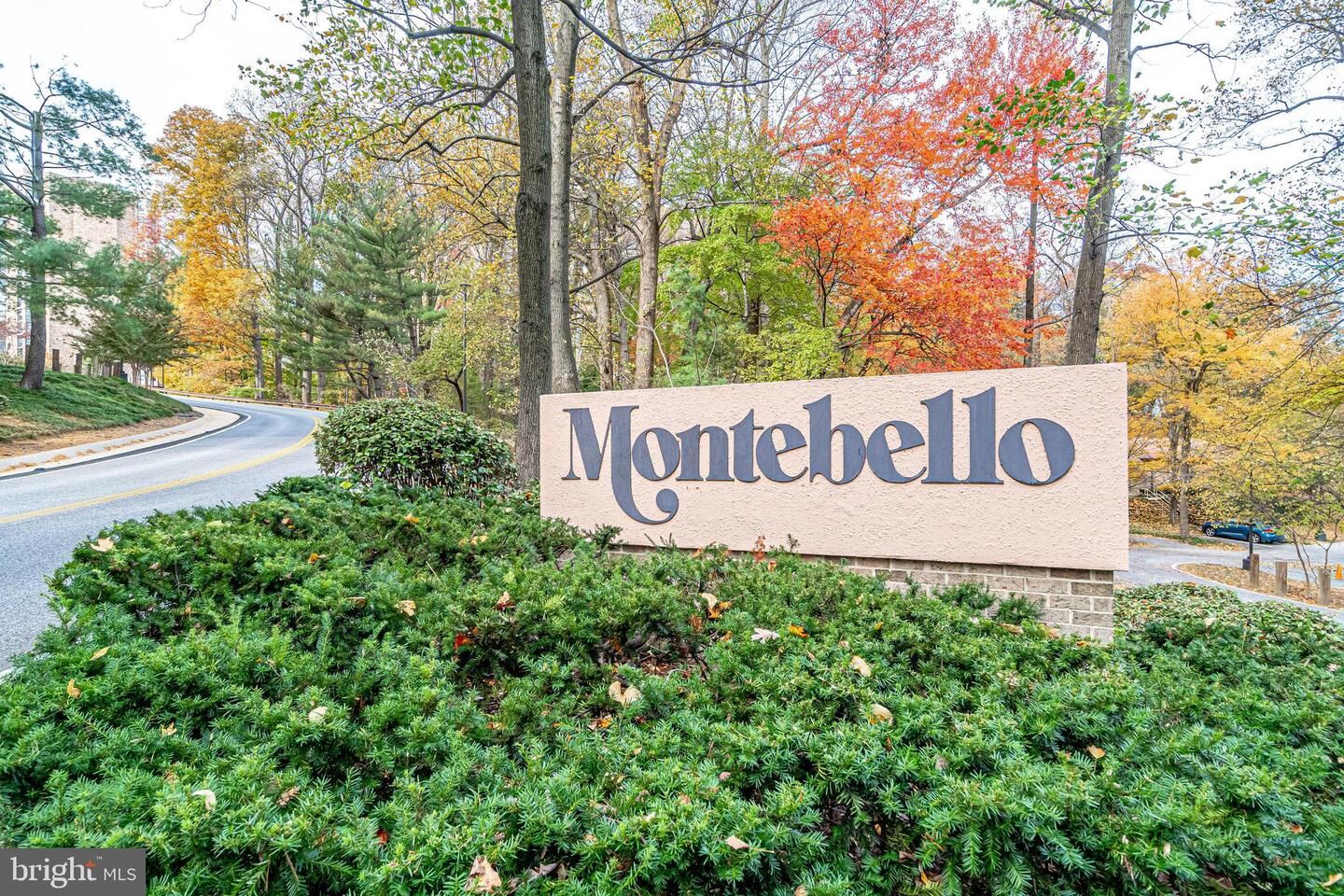 Property Photo: 5901 Mount Eagle Drive 317 VA 22303