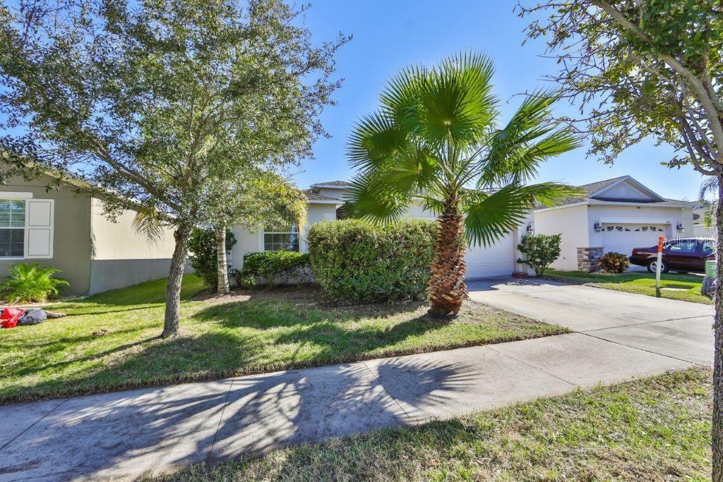 Property Photo:  11207 Flora Springs Drive  FL 33579 