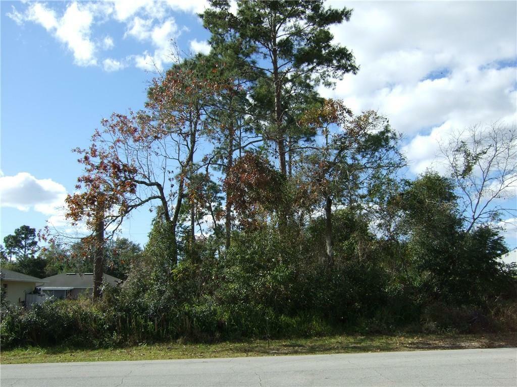 Property Photo:  1772 Laredo Drive  FL 32738 