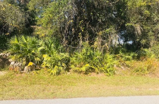 Property Photo:  20392 Lorette Avenue  FL 33954 