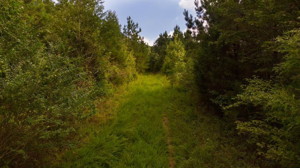 Property Photo: 79.49 Acre S No Pone TN 37322