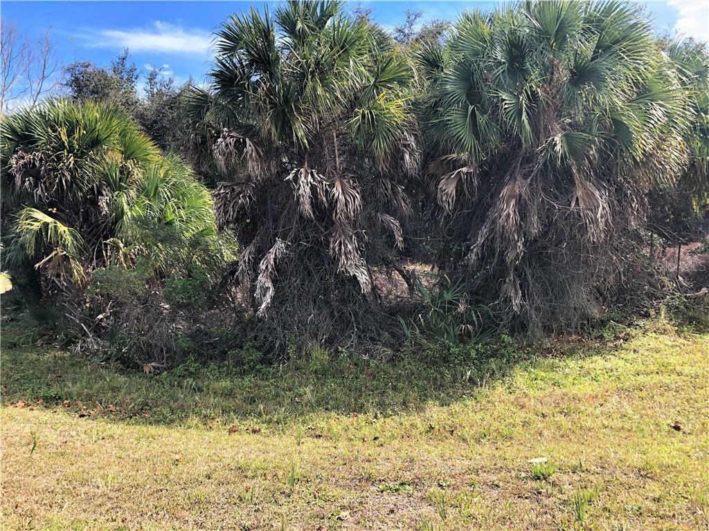 Property Photo:  14385 Massey Avenue  FL 33953 