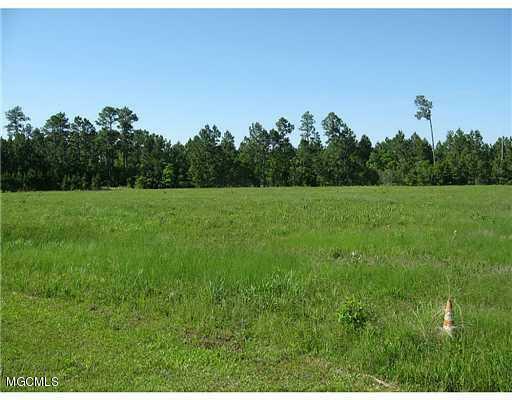 6.21 Acres Highway 603  Bay St. Louis MS 39520 photo