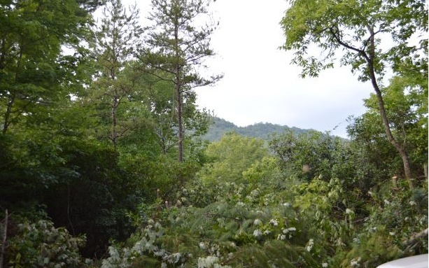 Property Photo:  00 Pine Log Church Road  NC 28904 