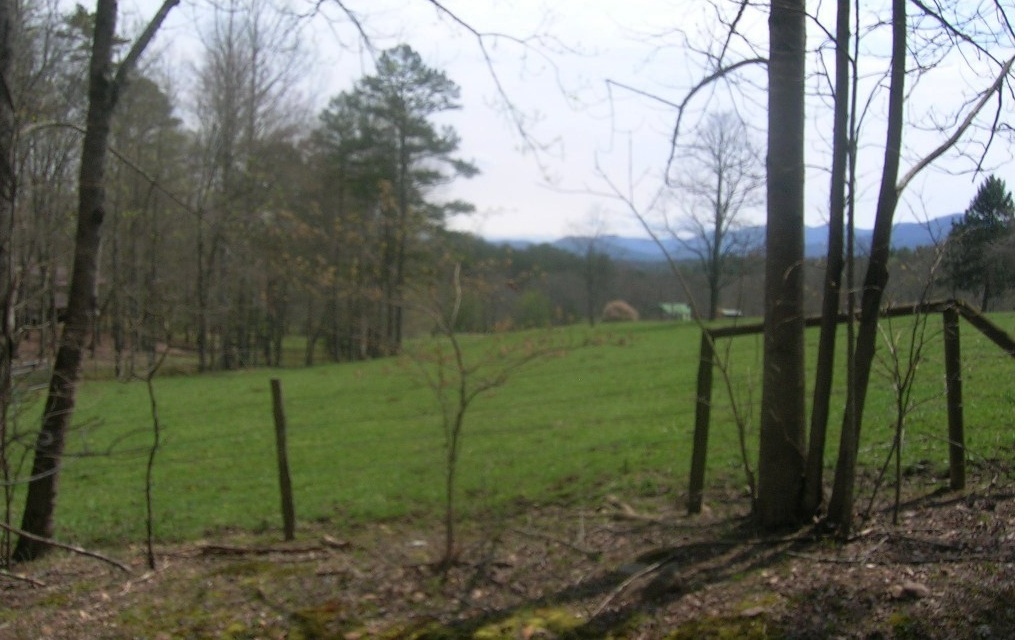 Property Photo:  L 15 Preachers Road  GA 30512 