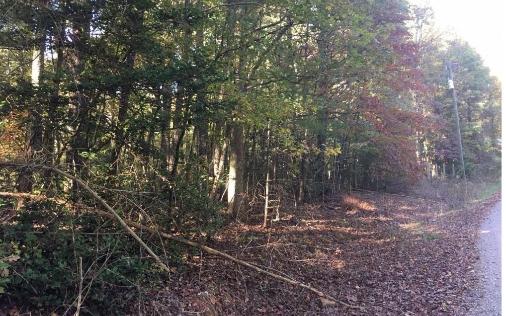 Property Photo:  Lot19 Almond Circle  GA 30540 