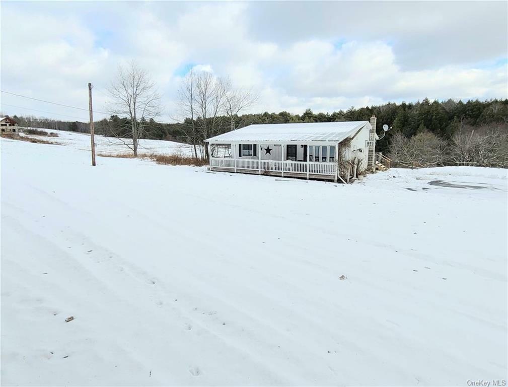 Property Photo:  221 County Road 115  NY 12726 