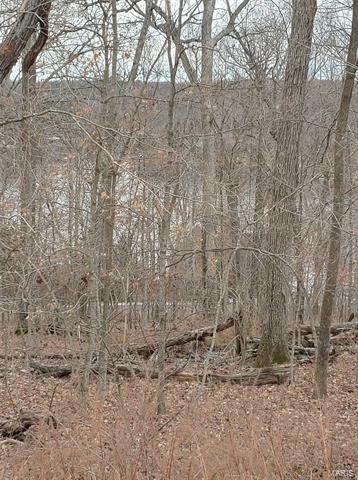 Property Photo: 697 Castle Drive 63357