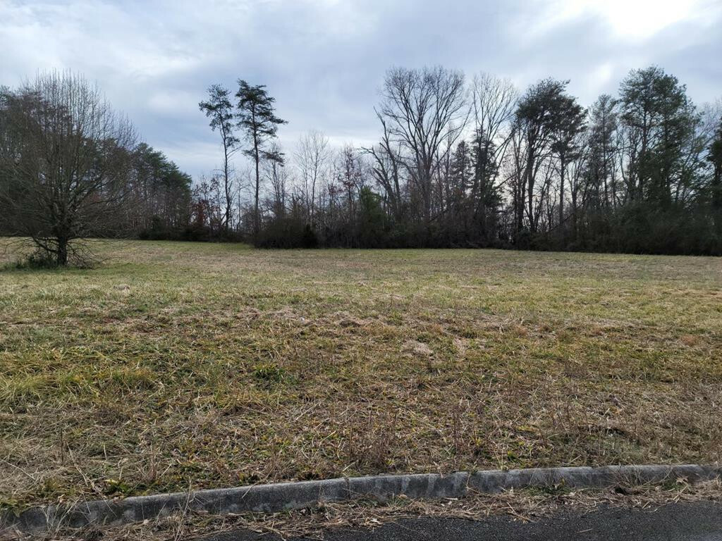 Property Photo: Lot 14 Meadow Lawn Drive TN 37329