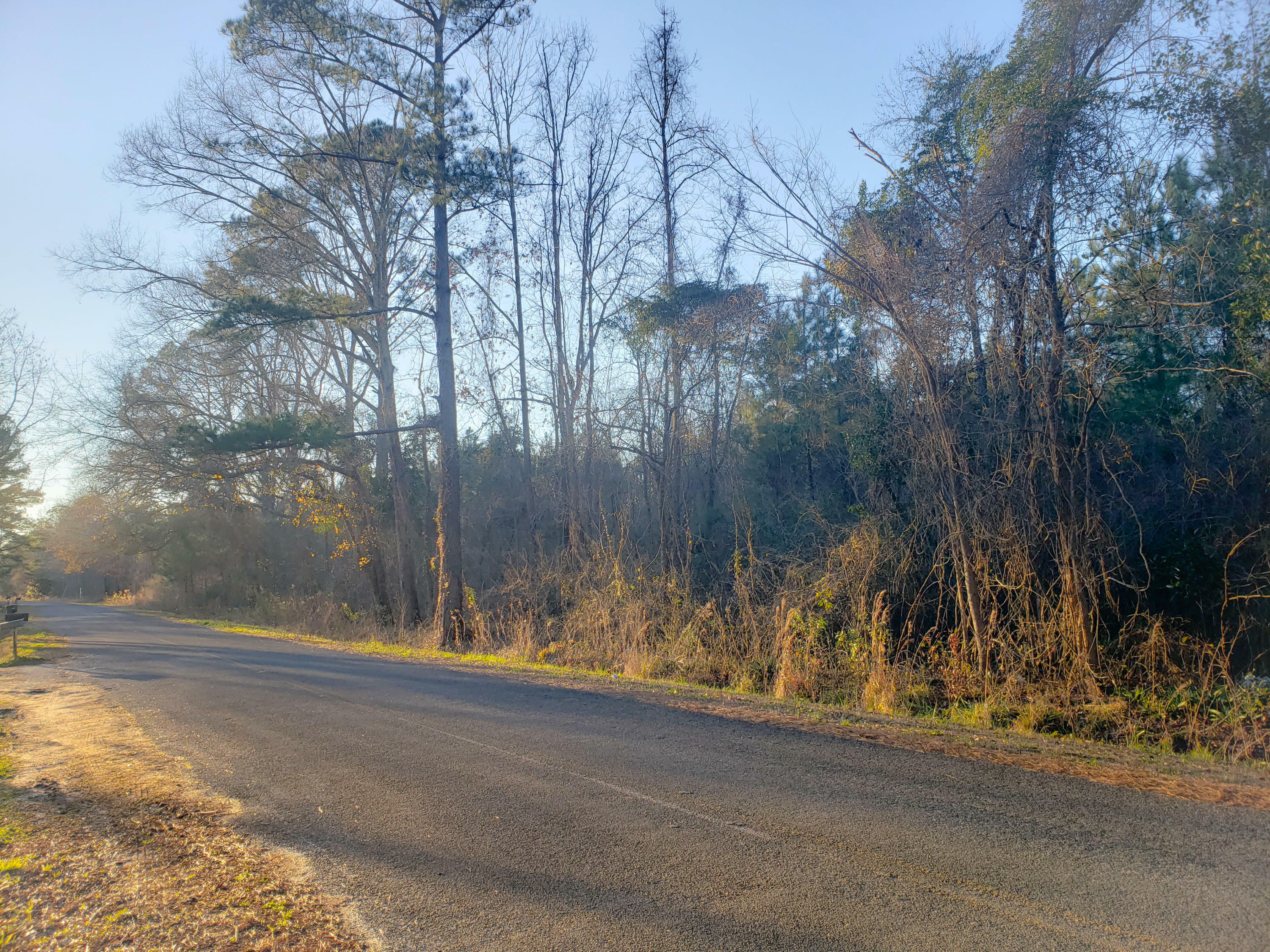 Property Photo:  00 Murraysville Road  SC 29461 