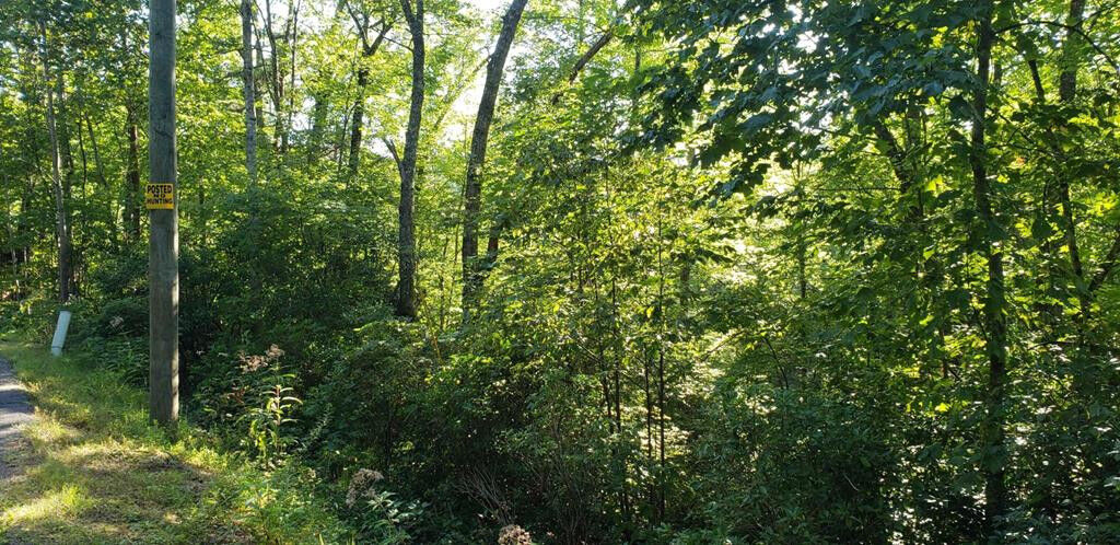 Property Photo: Lot# 1473 Beach Front Drive TN 37876