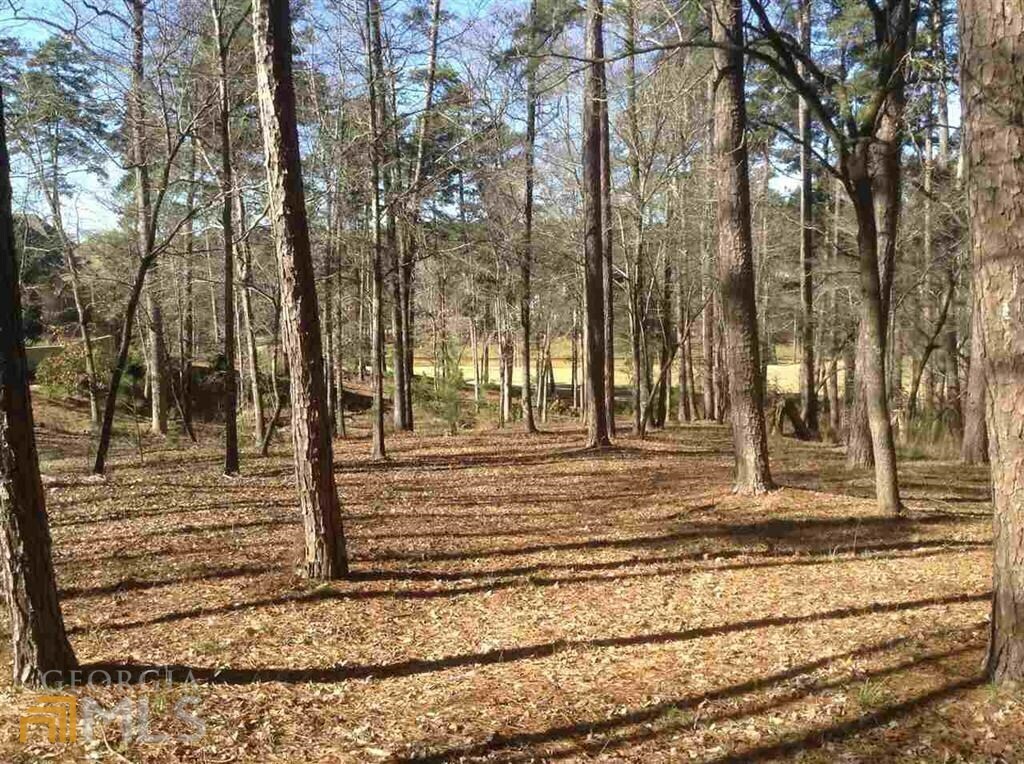 Property Photo: 1091 Hixons Bluff GA 30642