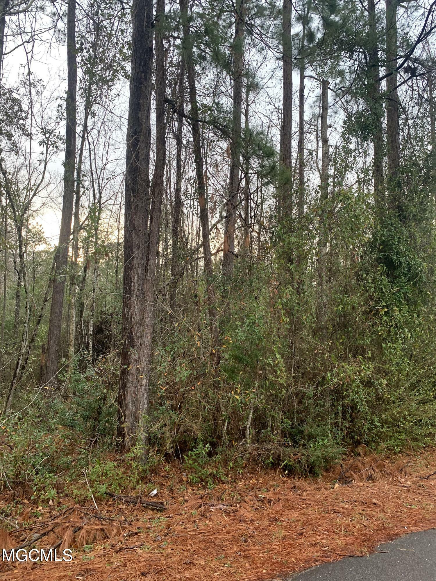 Property Photo: Lot 9 Shawnee St MS 39556