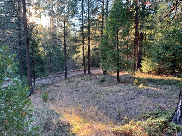 5255 Humbug Road  Grizzly Flats CA 96150 photo