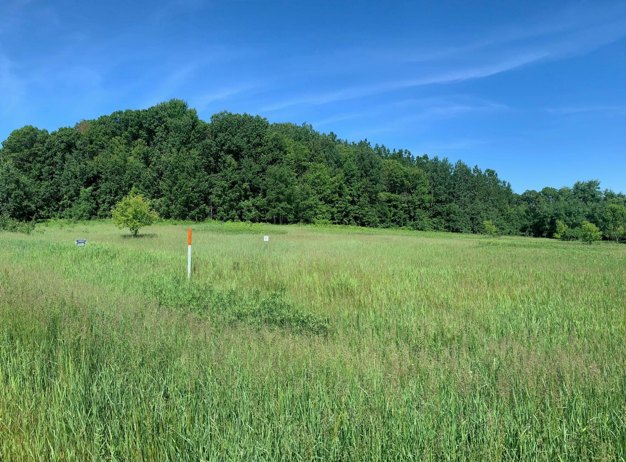 Property Photo:  Lot 11 938th Street  WI 54739 