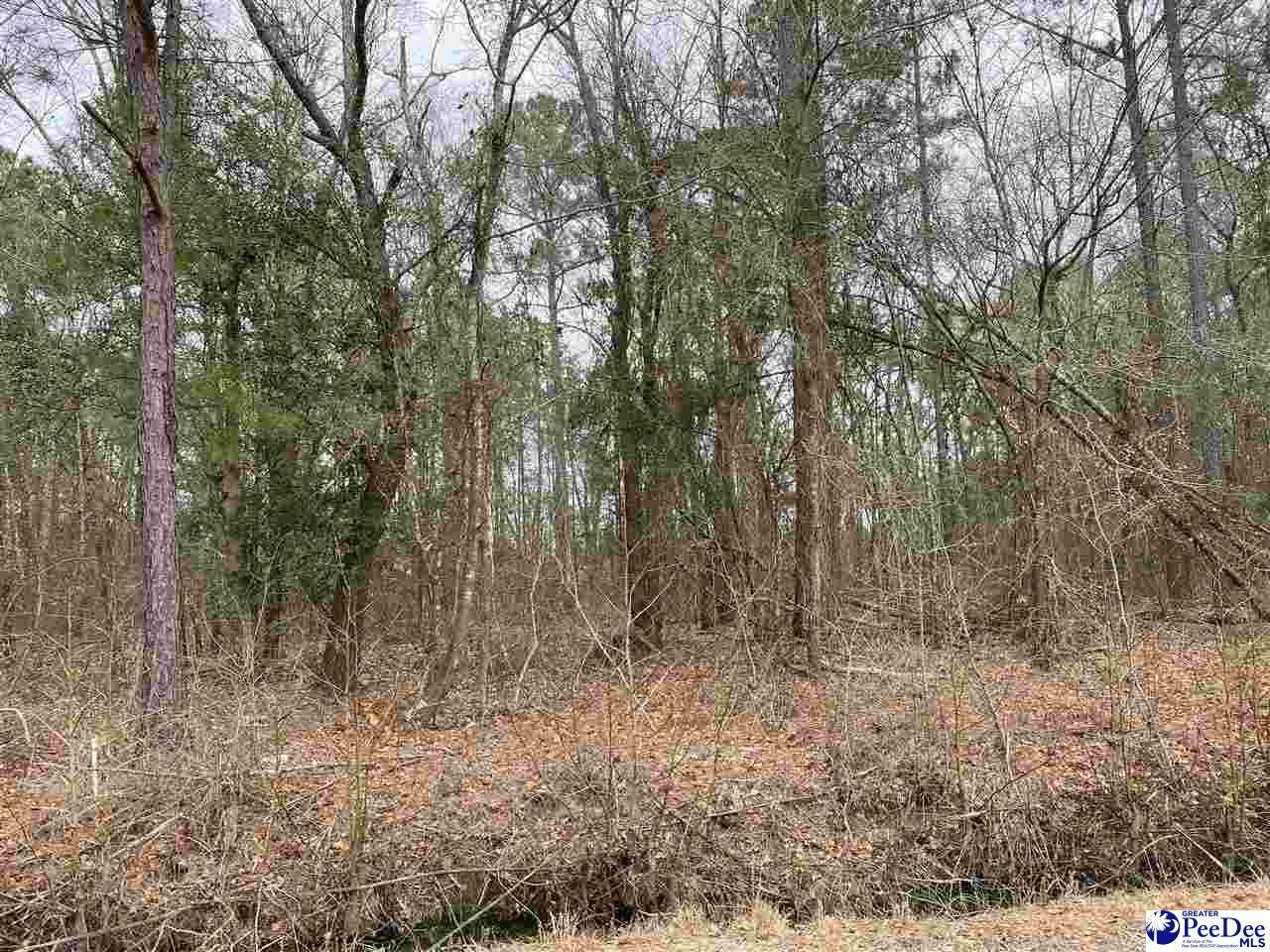 Property Photo:  Lot 45 Club Drive  SC 29069 