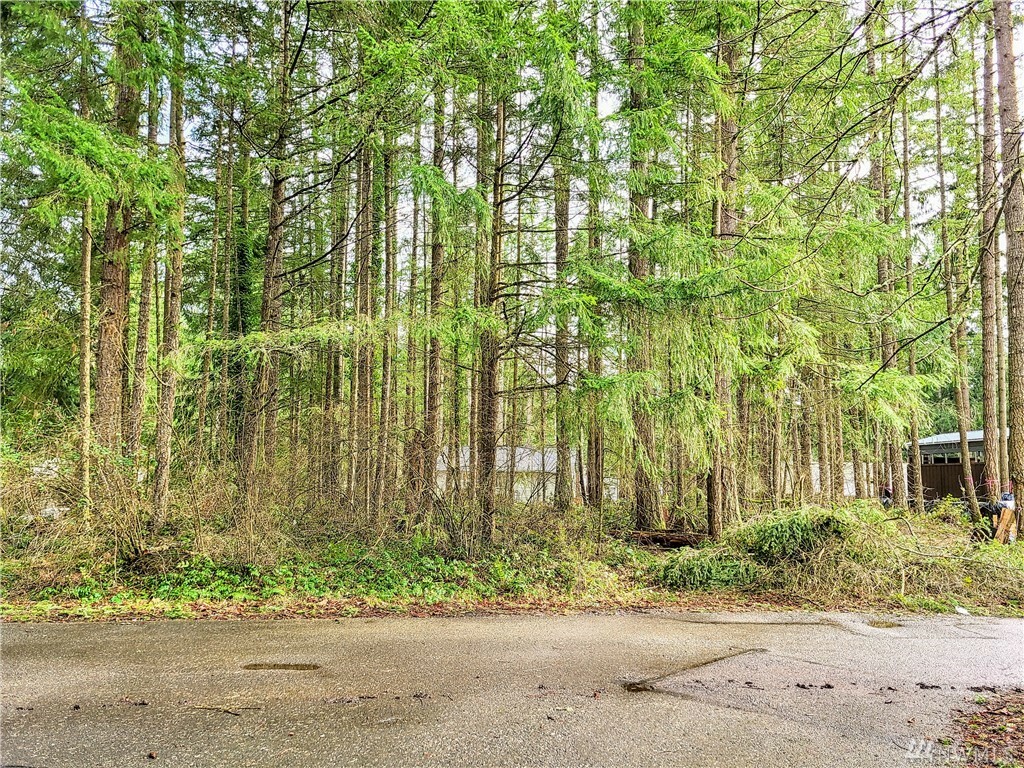 Property Photo:  17903 Upland Dr SE  WA 98597 