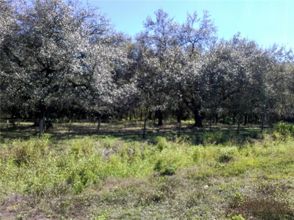 Property Photo:  5692 SE County Road 763  FL 34266 