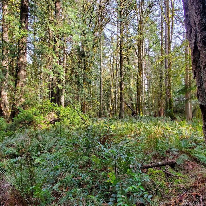 Property Photo:  162 E Nantucket Rd  WA 98584 