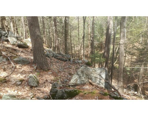 Property Photo: 20 Wildmeadow Rd MA 01921