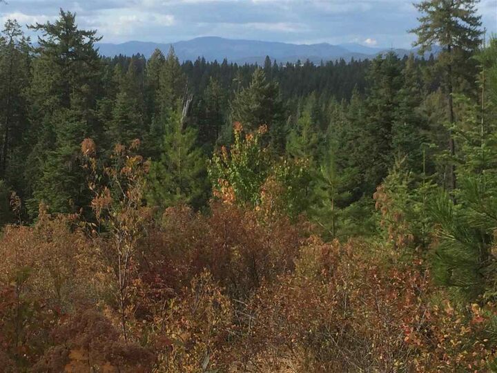 115xx E Antler Rd  Chattaroy WA 99003 photo