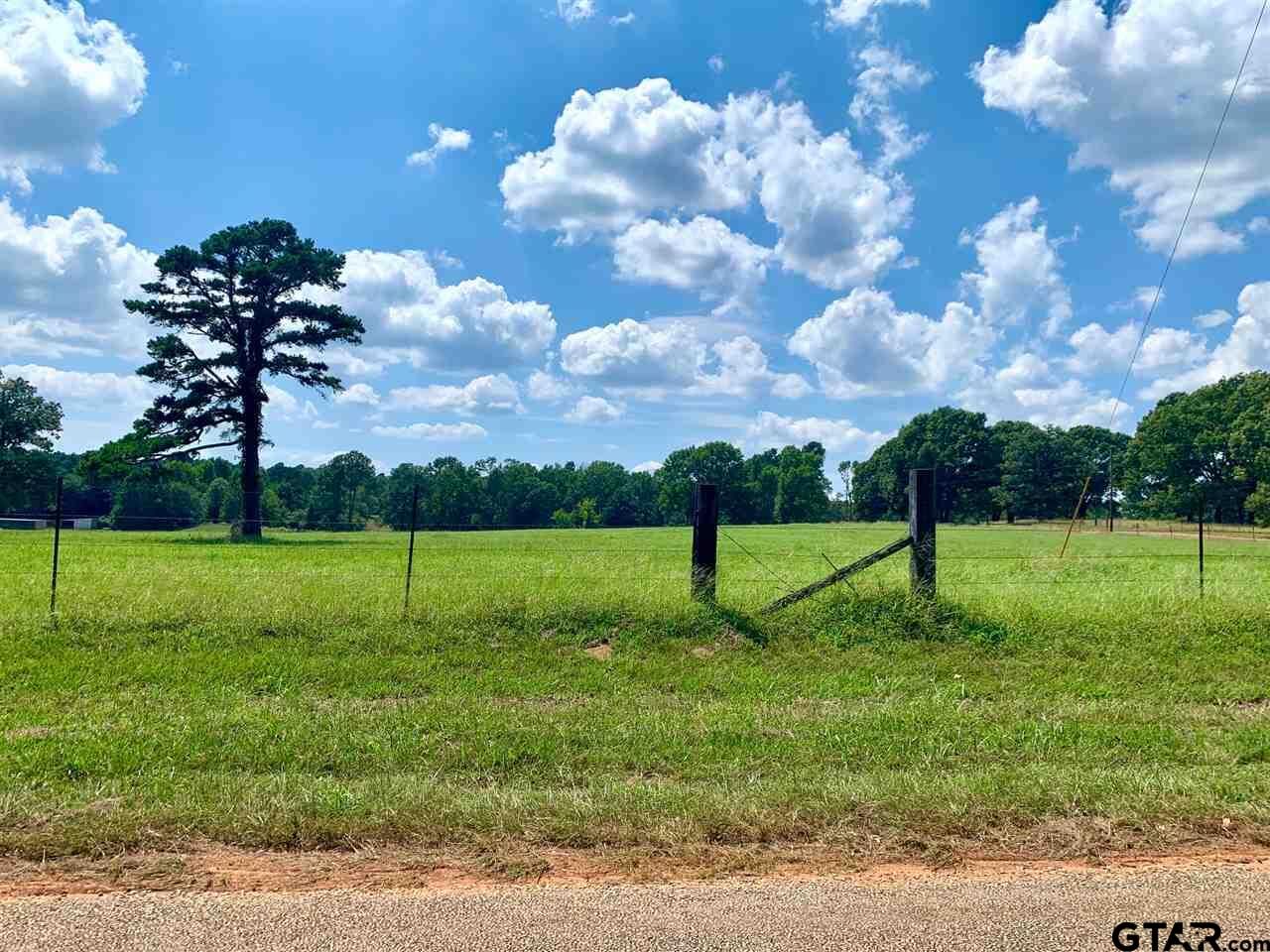 Property Photo:  Tbd Cr 479 Tract 2  TX 75771 