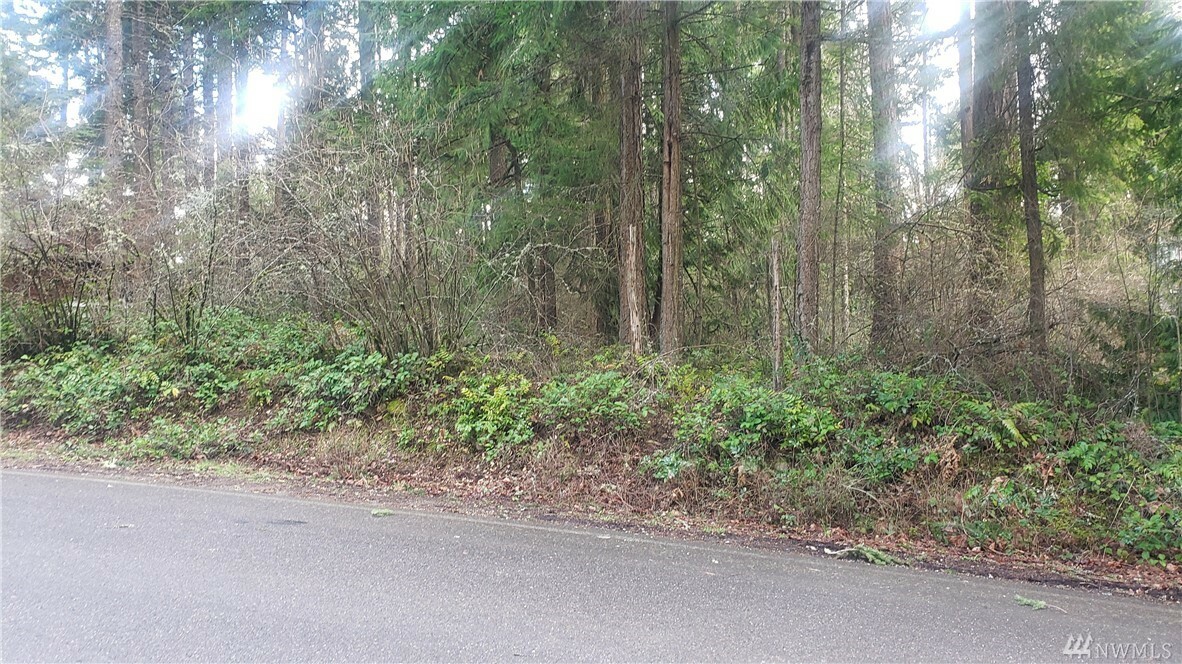 Property Photo: 18124 Rampart Dr SE WA 98597