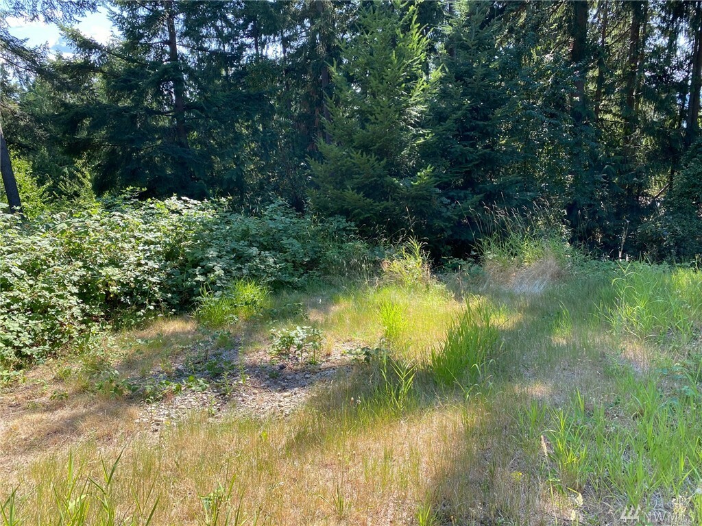 Property Photo:  901 207th Place NE  WA 98074 